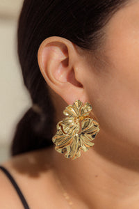 ORQUIDEA